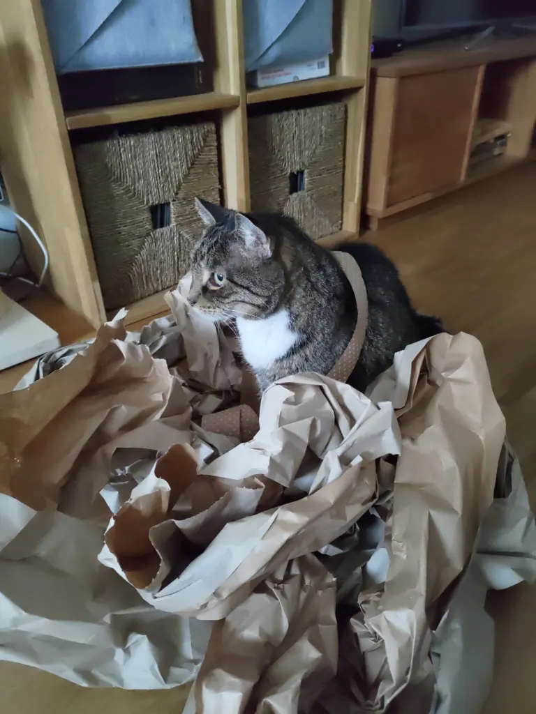 Andachtsbild von Frauchen