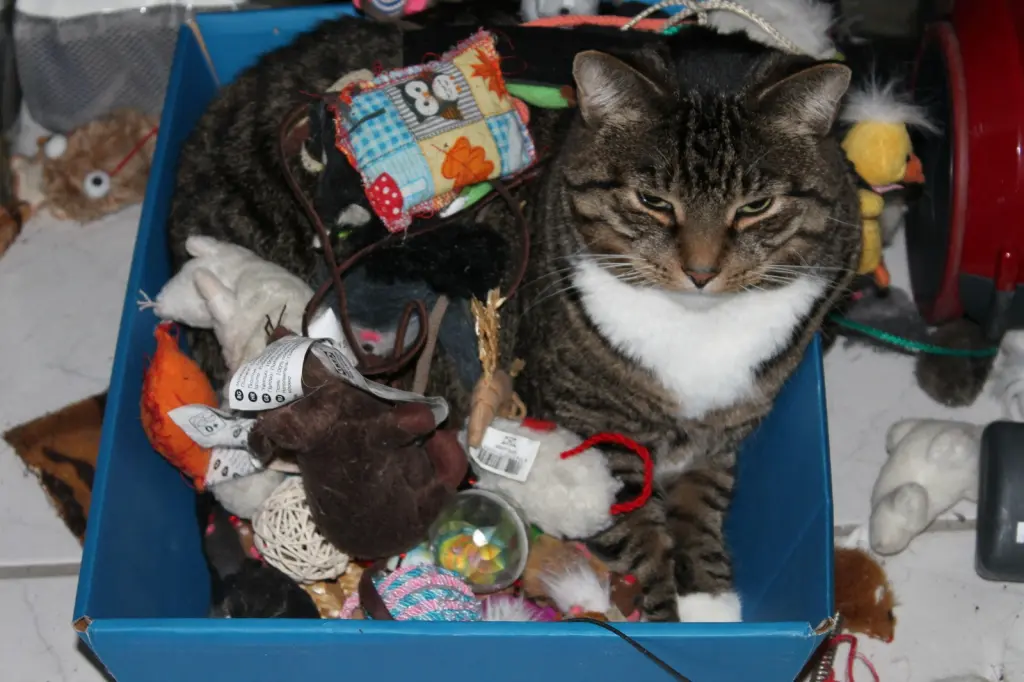 Andachtsbild von Frauchen