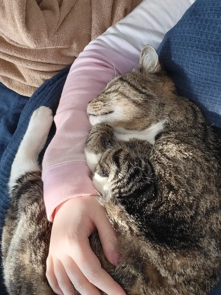 Andachtsbild von Frauchen