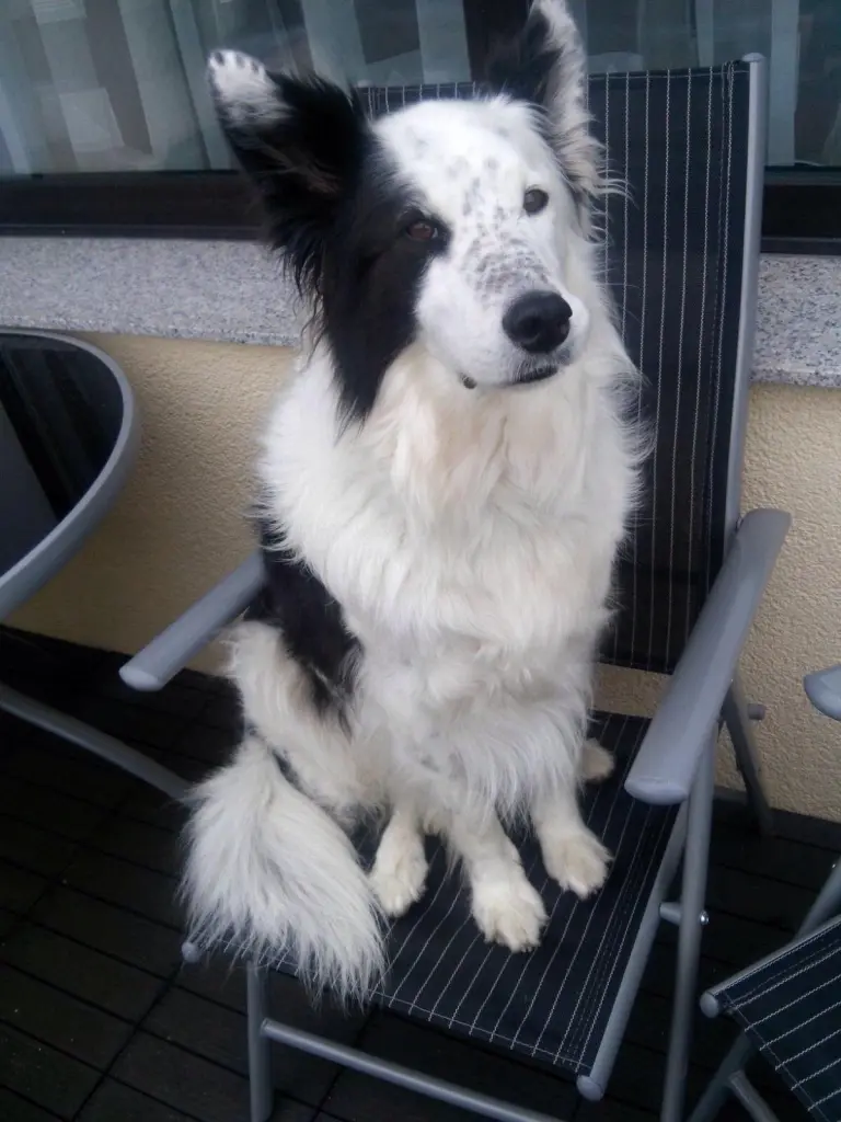 Andachtsbild von Familie Schubert mit Lio im Herzen ❤️