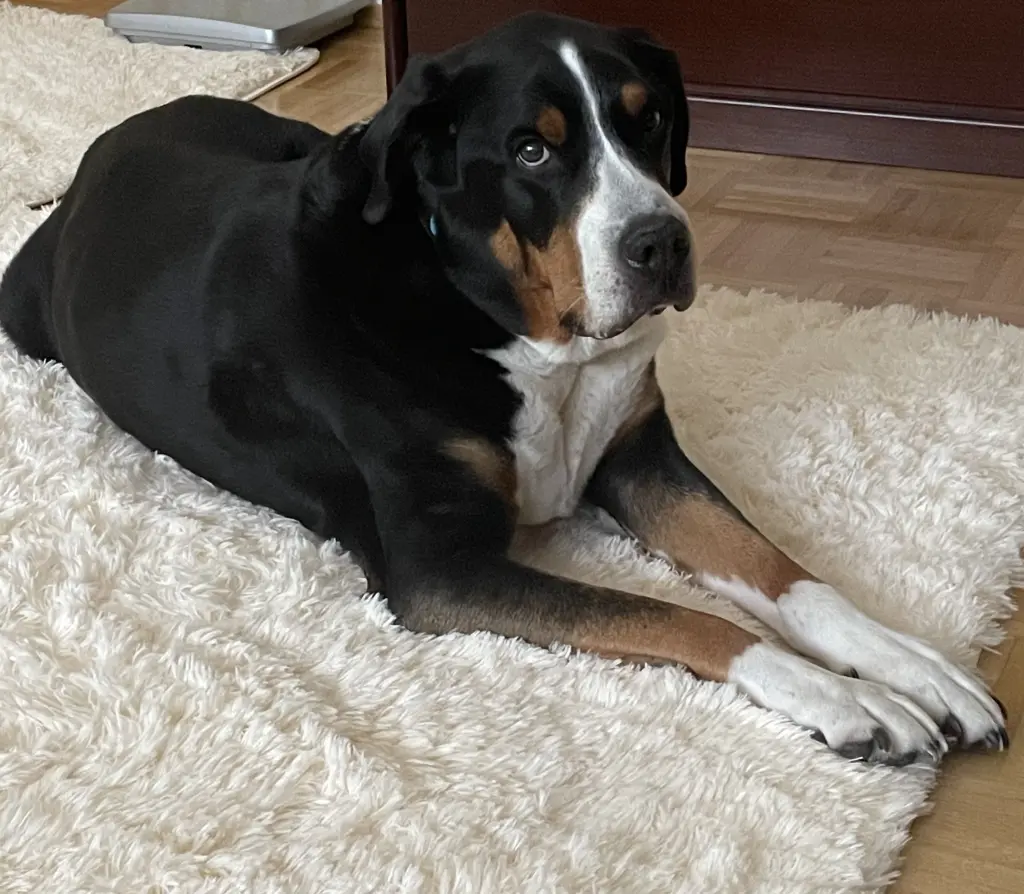 Bild von Charles