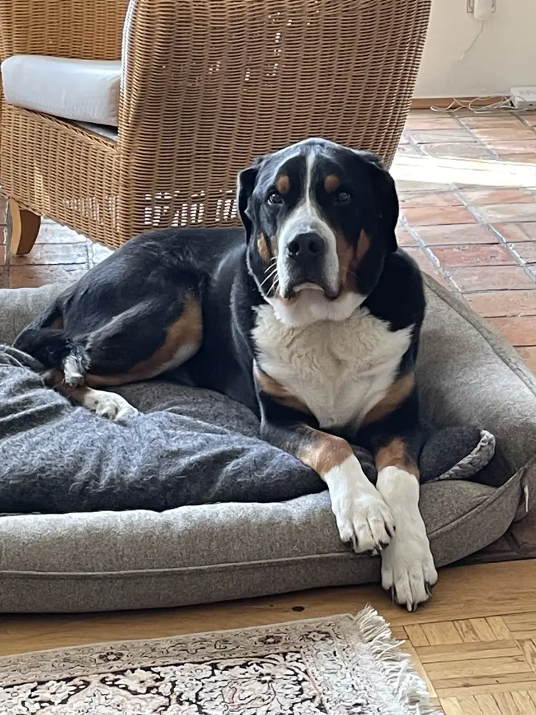 Bild von Charles