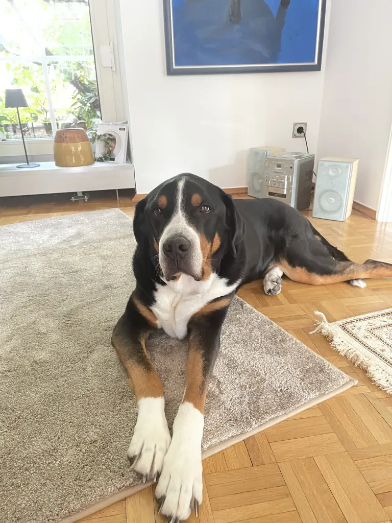 Bild von Charles