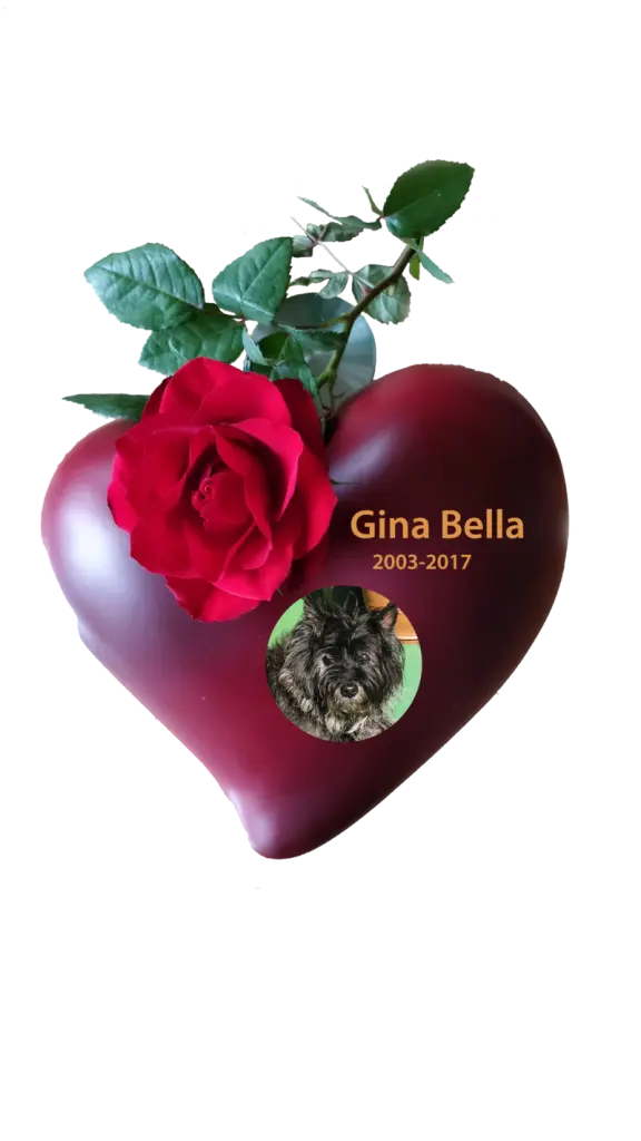 Image from Gina-Bella
