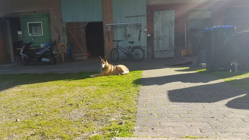 Condolence image of Claudia m. TARA im Herzen