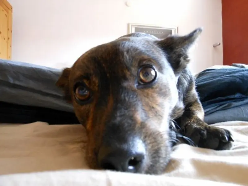 Condolence image of Unbekannt