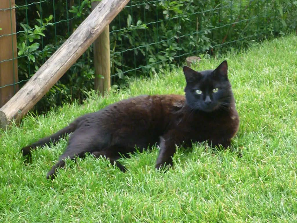 Condolence image of Bianca