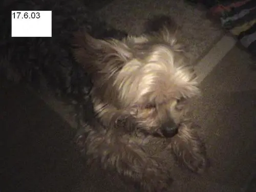Image from Denny
