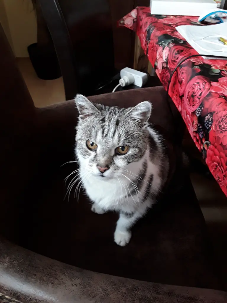 Condolence image of Simone