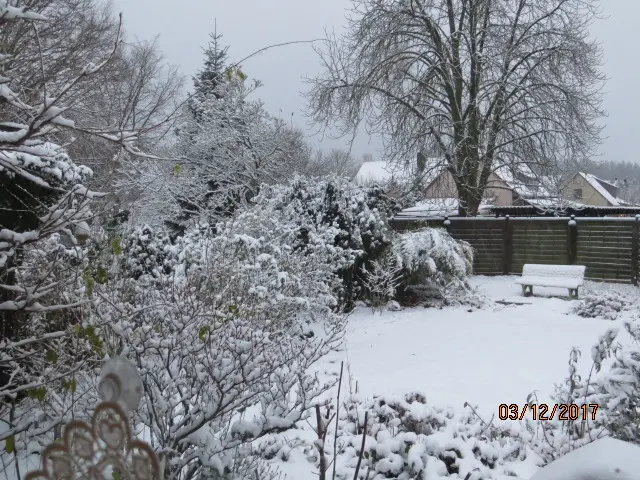 Condolence image of Uschi mit Seelenkatzen Jojo und Merlin
