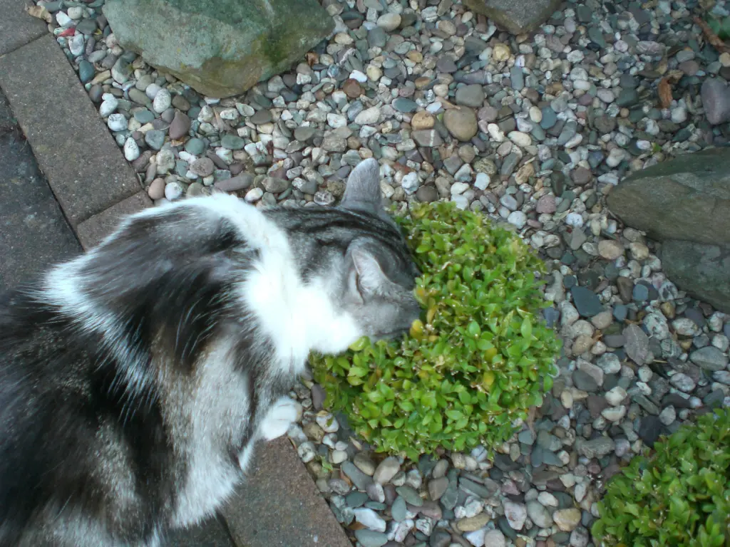 Condolence image of Simone mit Moritz tief im Herzen