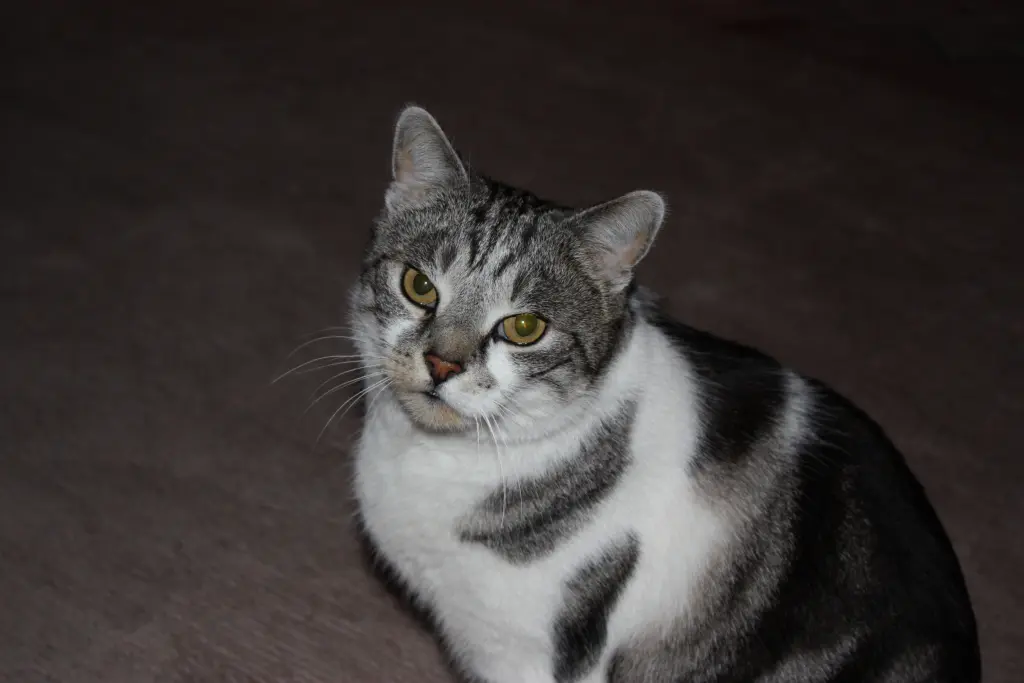 Condolence image of Simone