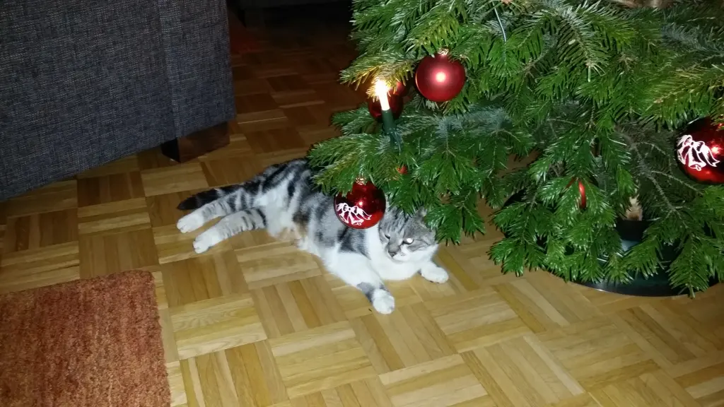 Condolence image of Simone mit Moritz tief im Herzen