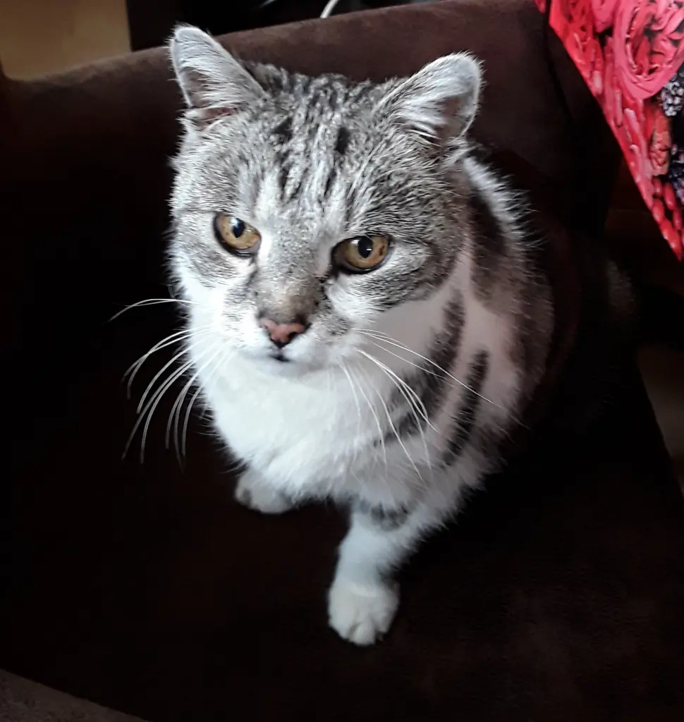 Condolence image of Simone