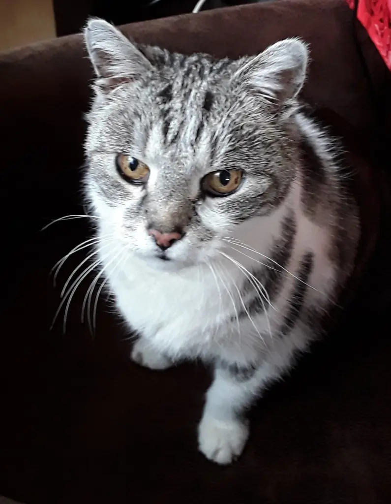 Condolence image of Simone