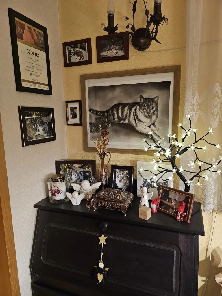 Condolence image of Simone Hein