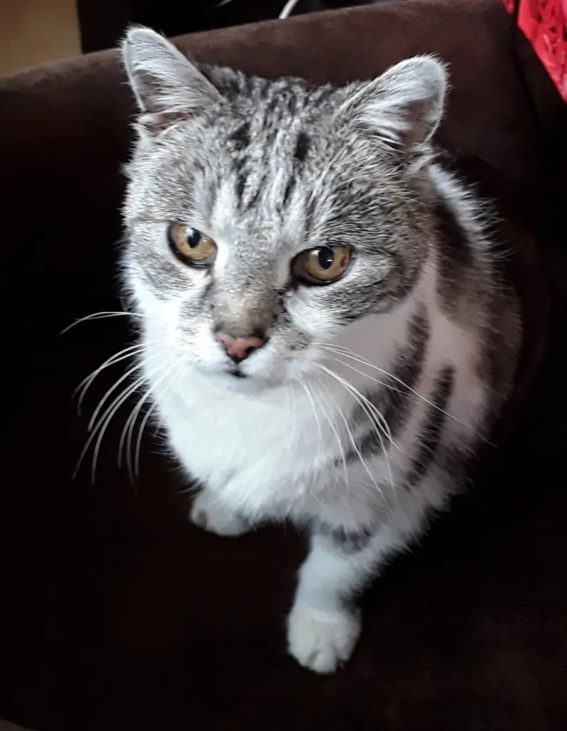 Condolence image of Simone Hein