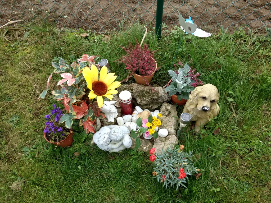 Condolence image of Sigrid mit Kira
