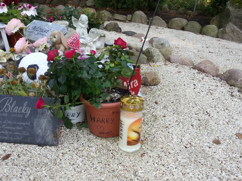 Condolence image of Ulrike