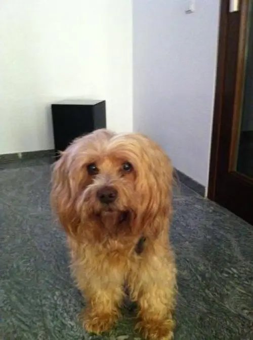 Image from Benni