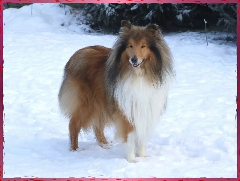 Andachtsbild von Margit u. Klaus