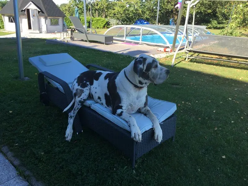 Andachtsbild von Esther mit Linu