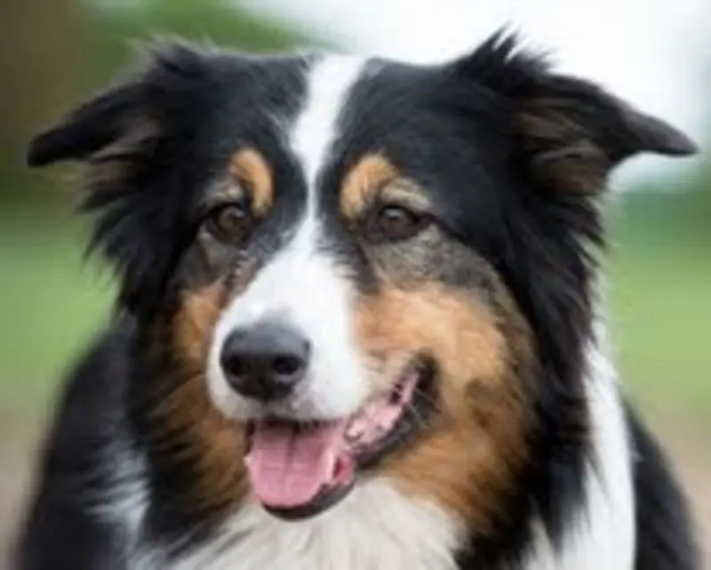 Condolence image of Marianne Dorn