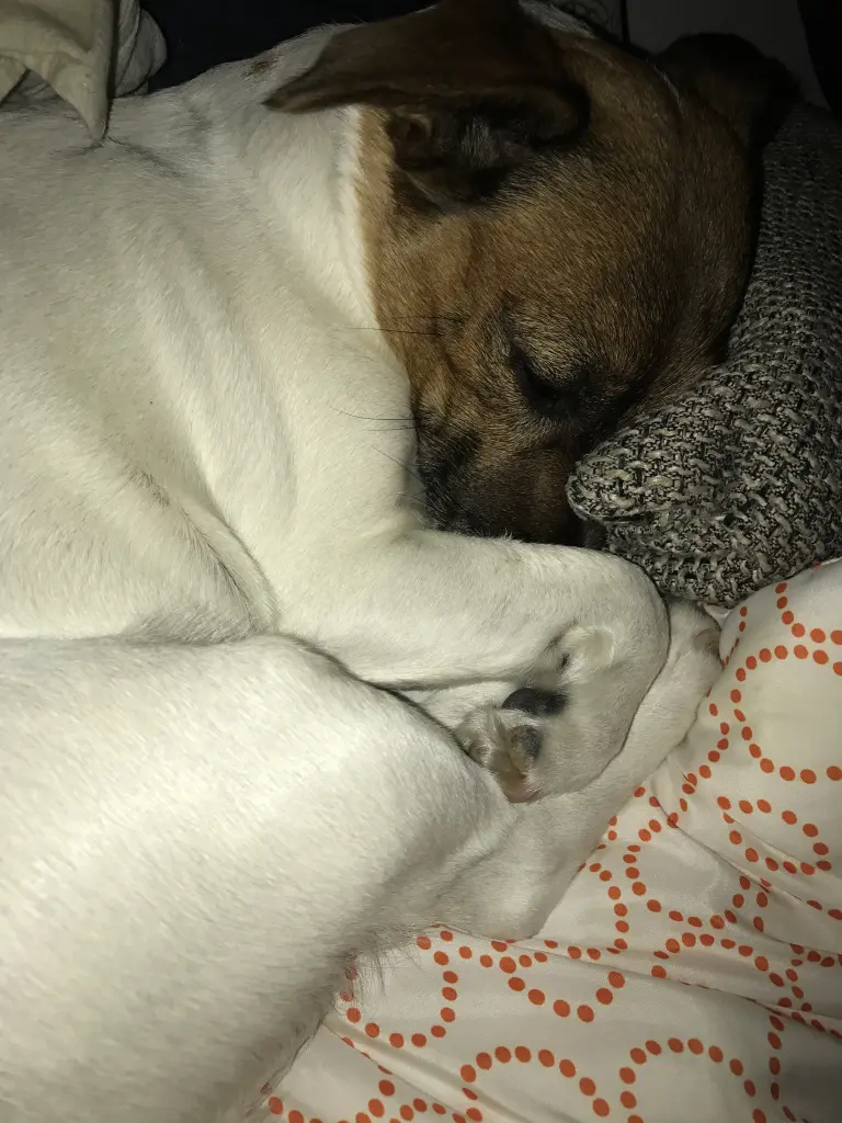 Image from Pünktchen