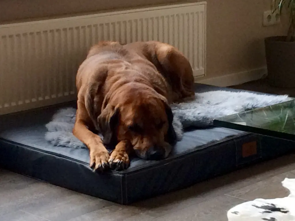 Condolence image of Sylke