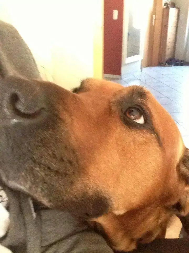 Condolence image of Sylke 