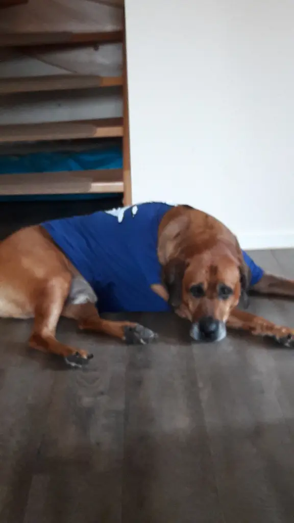 Condolence image of Sylke 