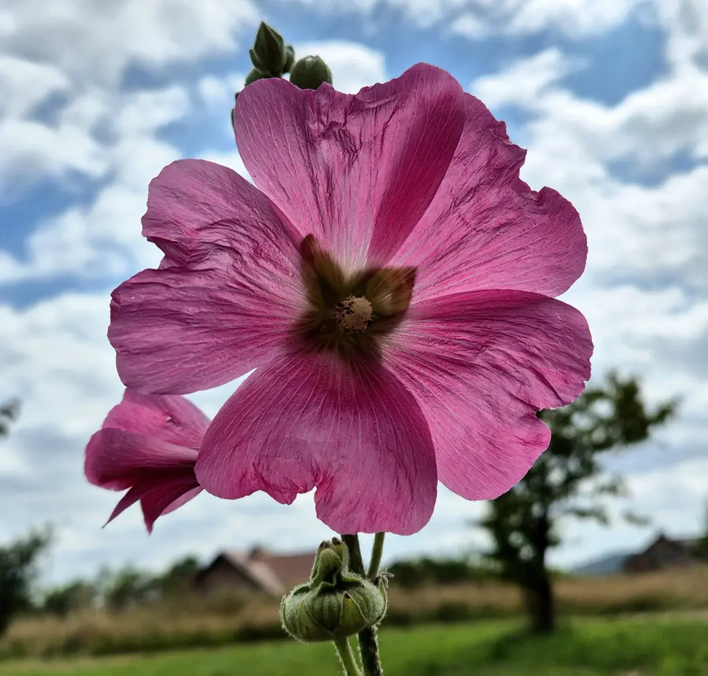 Andachtsbild von Kerstin 