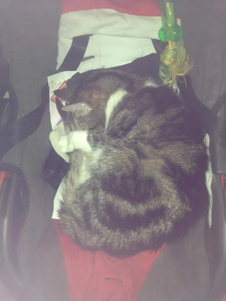 Andachtsbild von Sara 