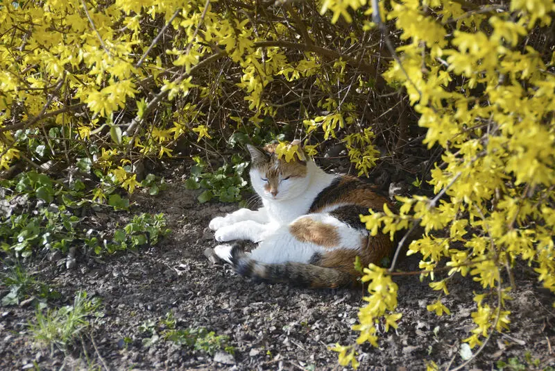 Condolence image of Sabine mit Mimmi im Herzen