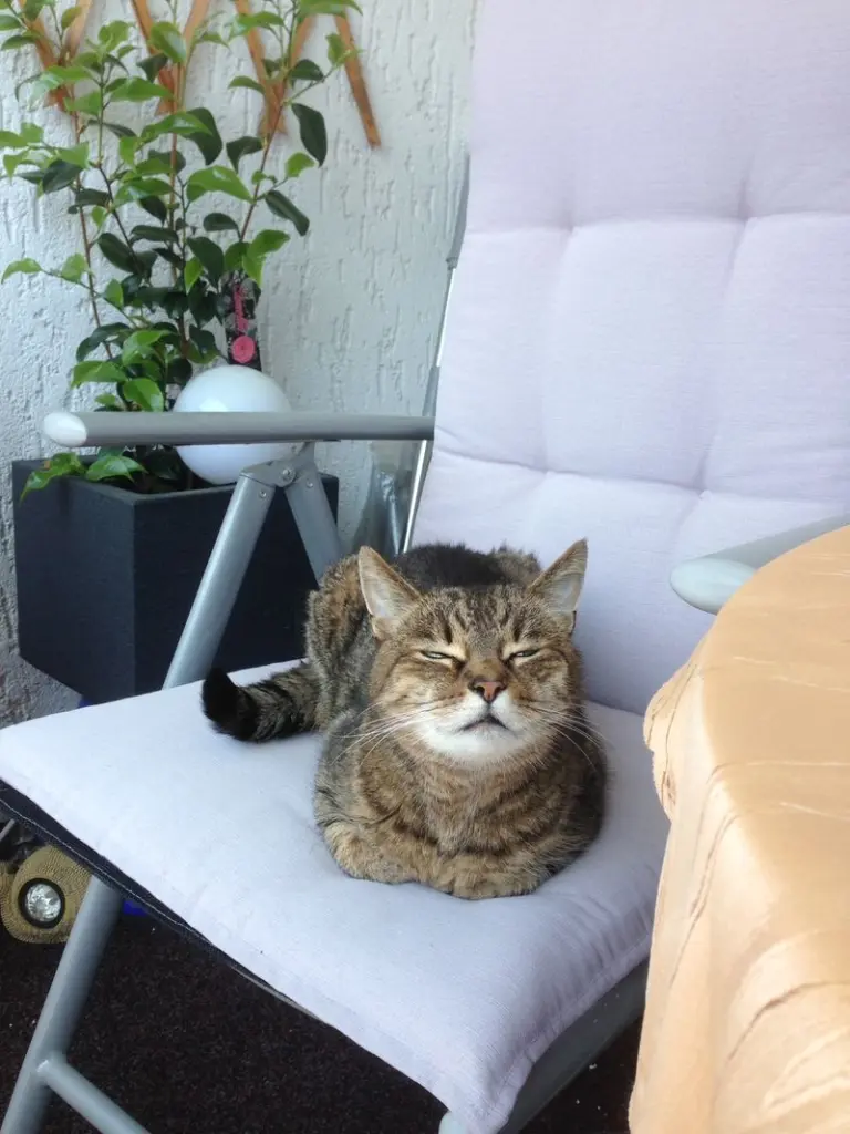 Condolence image of Marina