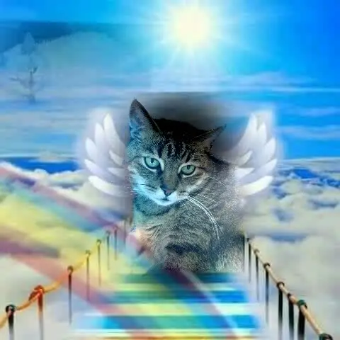 Condolence image of Marina