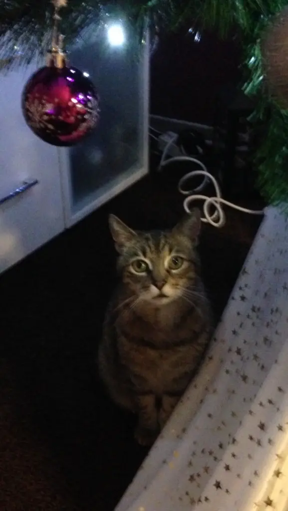 Condolence image of Marina