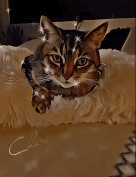 Condolence image of Marina