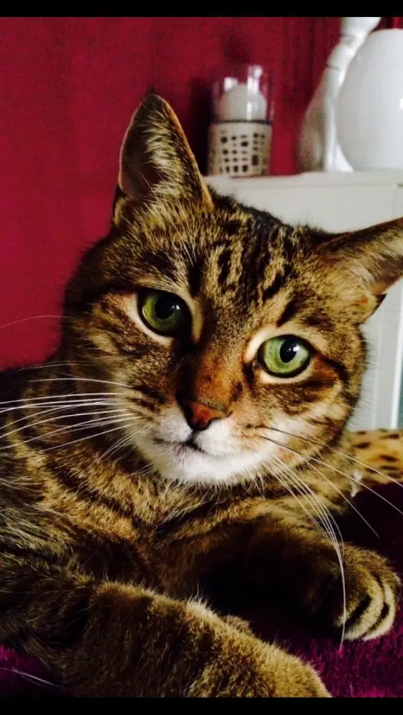 Condolence image of Marina