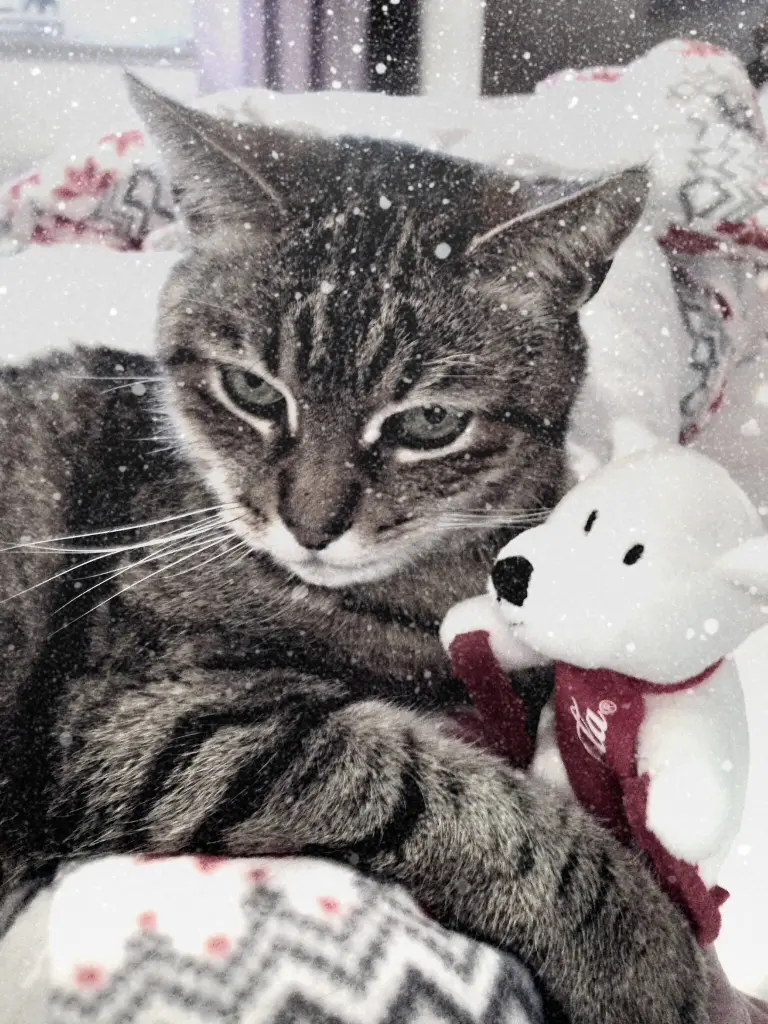 Condolence image of Marina 