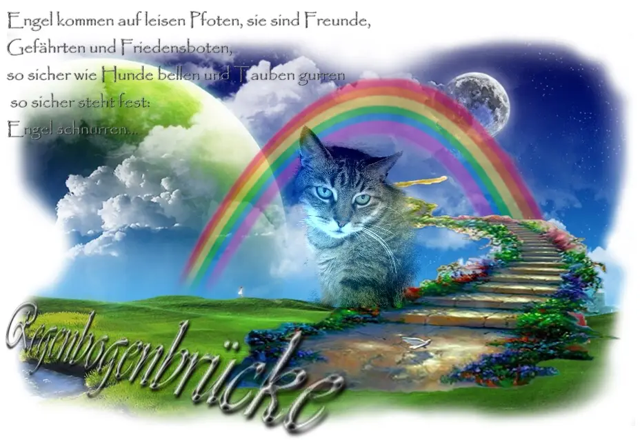 Condolence image of MARINA 