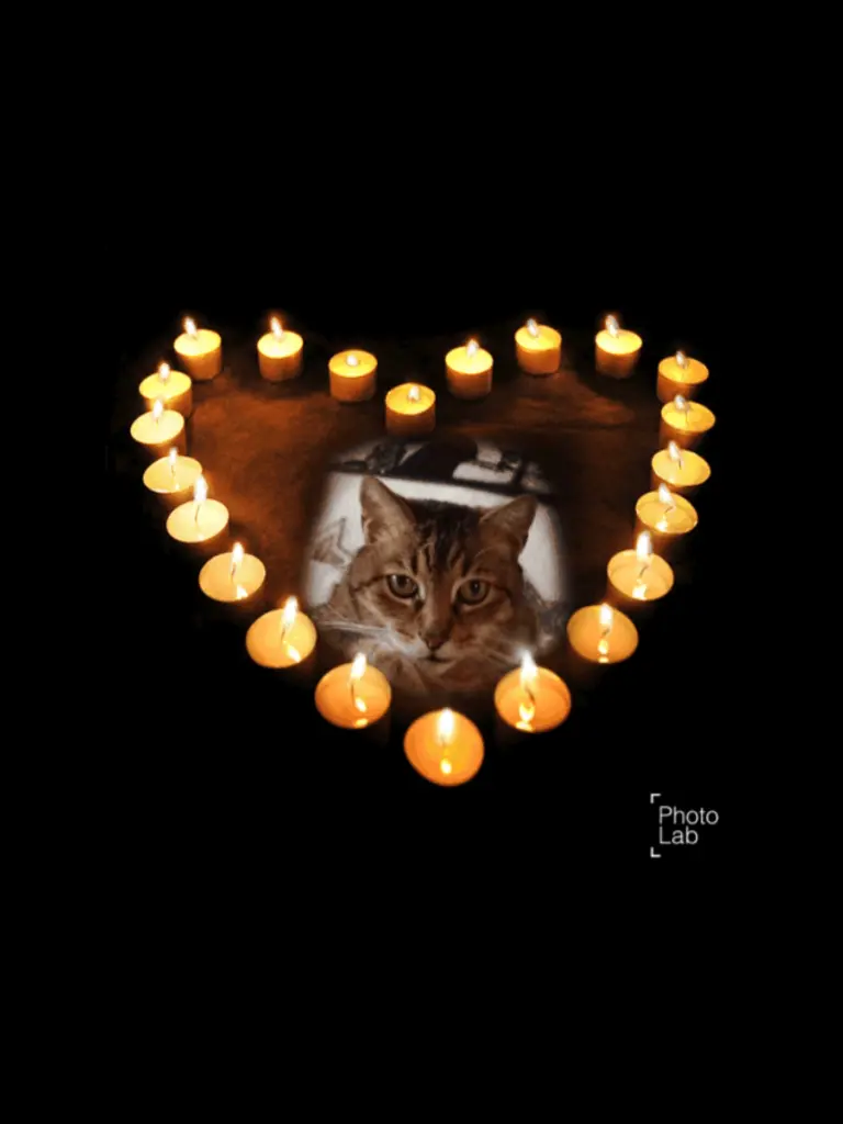 Condolence image of Marina