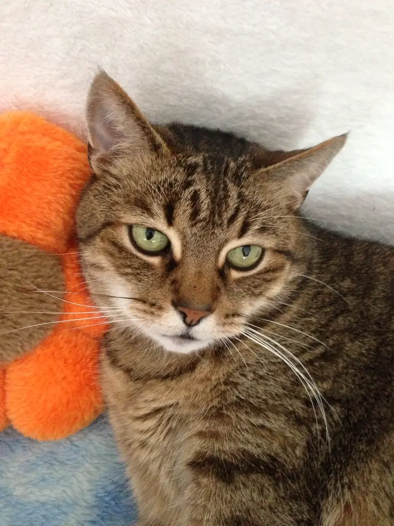 Condolence image of MARINA 