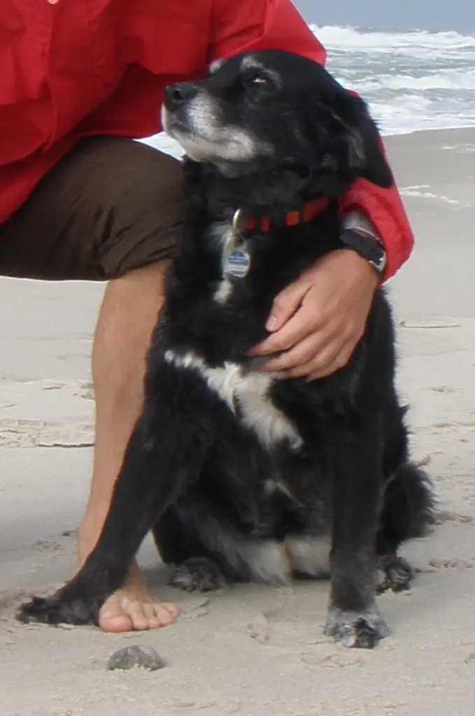 Condolence image of Melanie