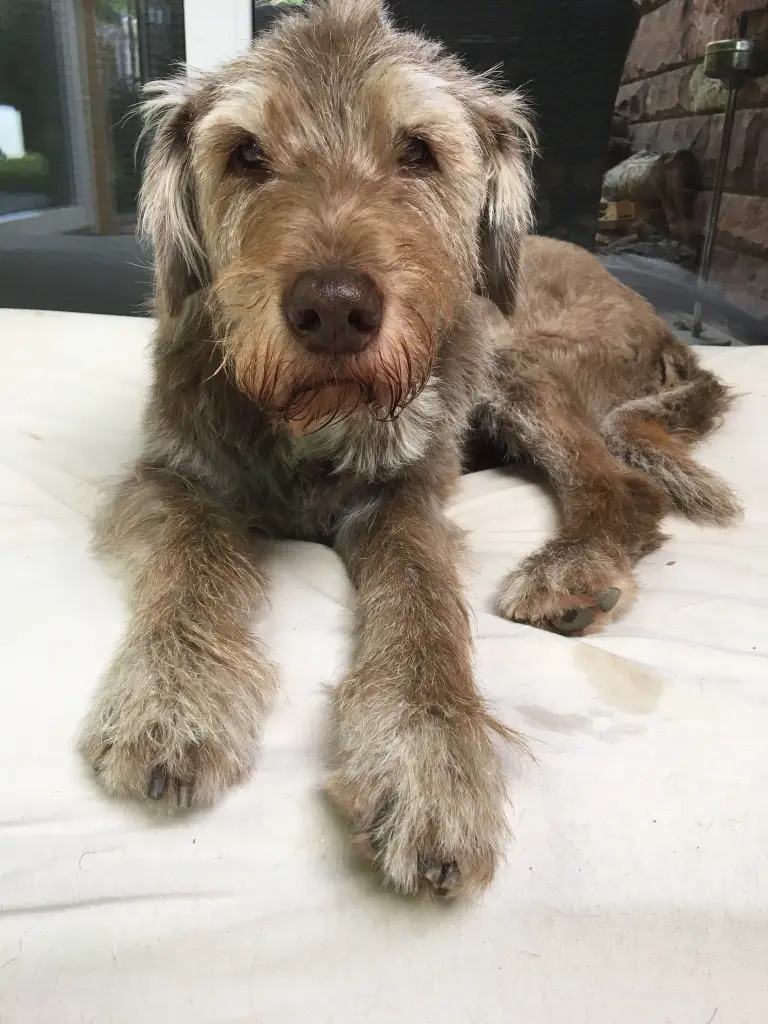 Condolence image of Ursula