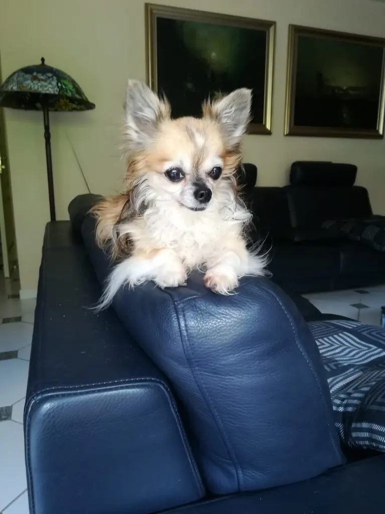 Andachtsbild von Christiane mit Leni tief im ❤️