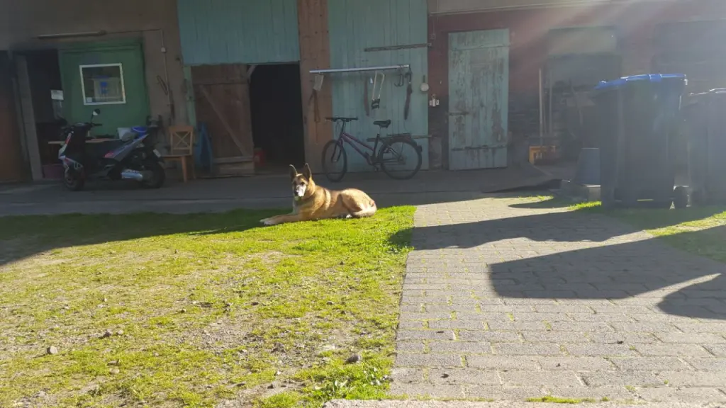 Condolence image of Claudia m. TARA im Herzen