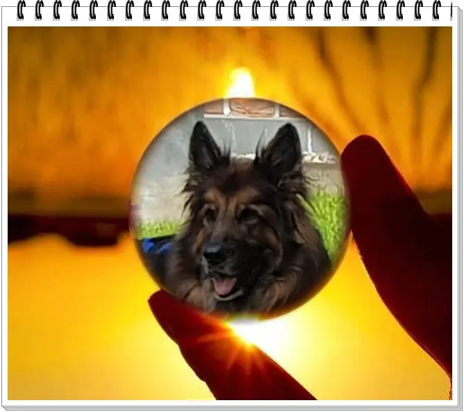 Condolence image of ❤️❤️❤️