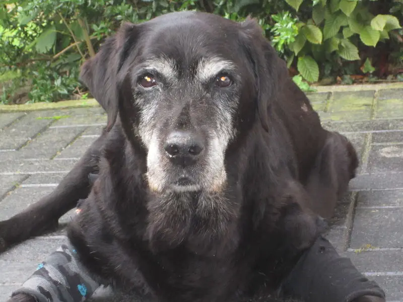 Condolence image of Alexandra mit Lena im Herzen