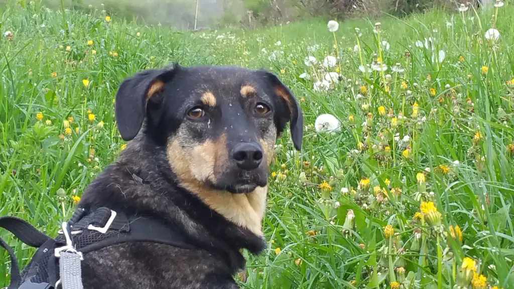 Andachtsbild von Konni mit Mayte ganz tief im Herzen ❤️